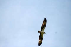 Killikus&reg; Fotographie